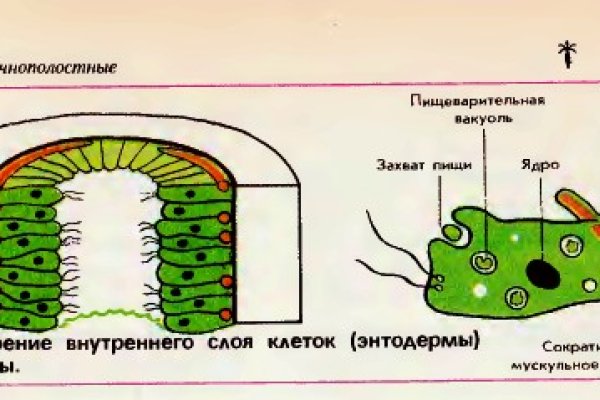 Кракен kr2web in что это