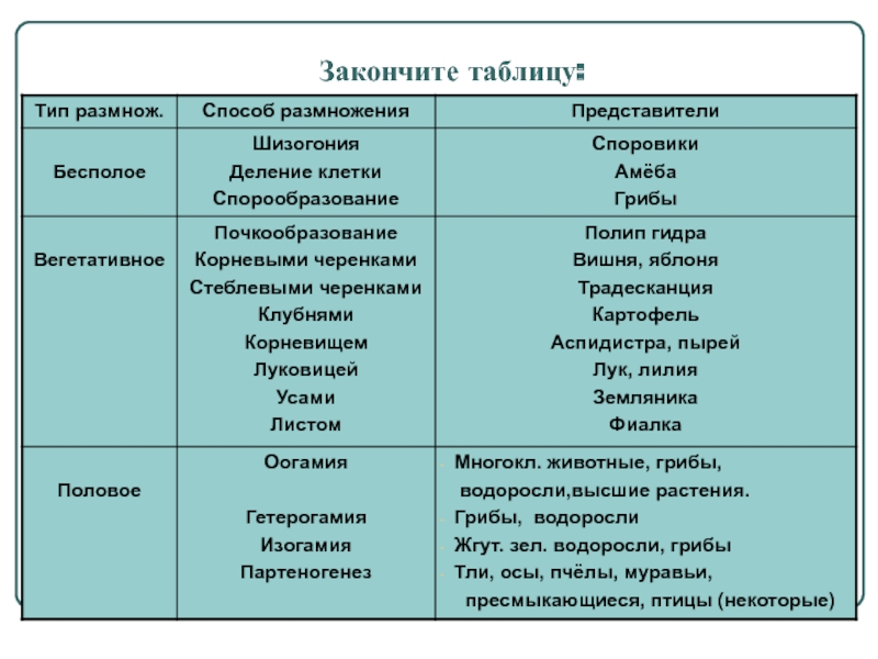 Кракен купить мефедрон