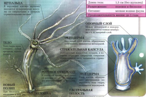 Кракен ссылка vtor