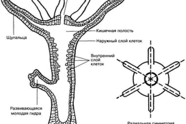 Кракен наркошоп